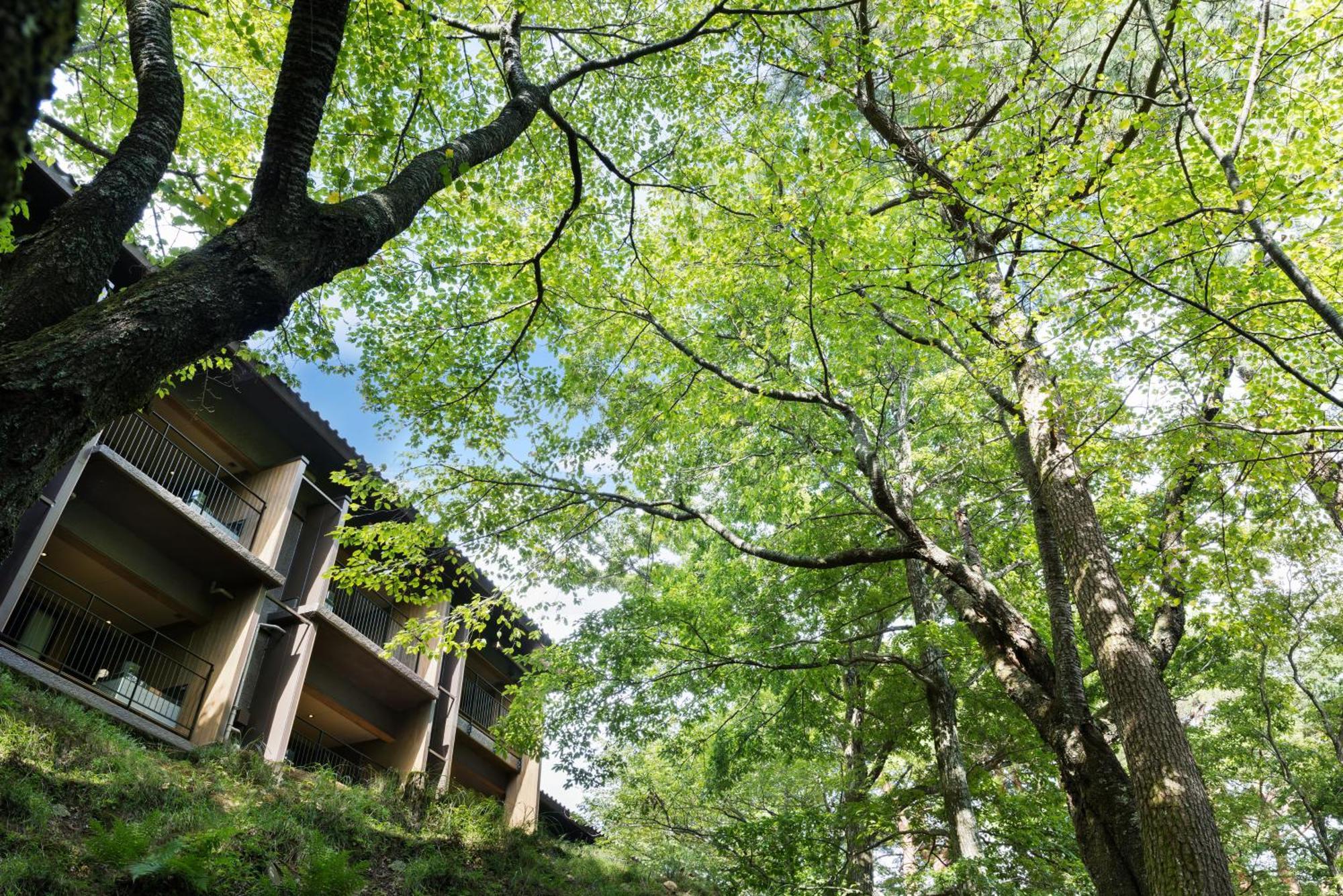 Laforet Shuzenji Sanshisuimei Izu  Exterior foto